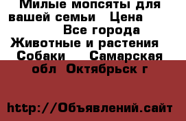 Милые мопсяты для вашей семьи › Цена ­ 20 000 - Все города Животные и растения » Собаки   . Самарская обл.,Октябрьск г.